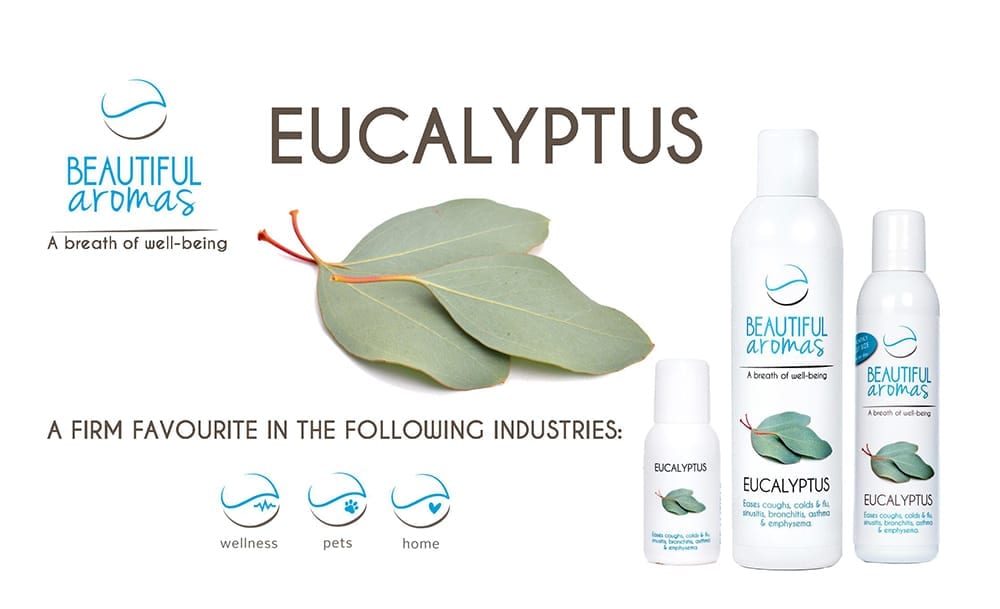 Eucalyptus Beautiful Aromas